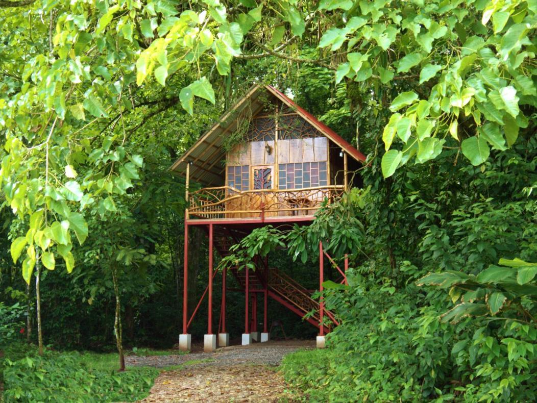 Bio Thermales Hot Springs Villa Palmera Exteriör bild
